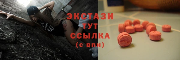 твердый Новодвинск
