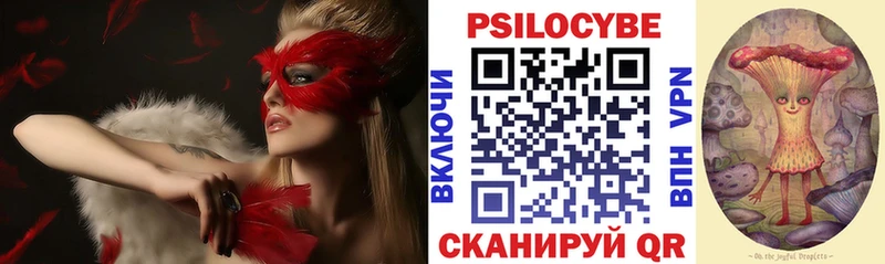 Псилоцибиновые грибы мицелий Пущино