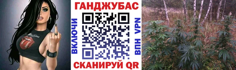 купить наркотик  Пущино  MEGA   Бошки Шишки индика 